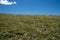 Tundra on the top of Powder River Pass along the Cloud Peak Skyway US Highway 16 in the Bighorn National Forest, Wyoming