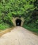 Tunel Down the mountains green plant train