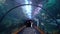 Tunel under ocean aquarium