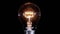 Tungsten light bulb lamp blinking over black background, loop ready