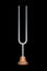 Tuning fork