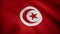 Tunisia closeup flag, city of Tunisia, realistic animation seamless loop. Waving Red Flag Of Tunisia.