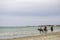 Tunisia, Djerba - 05/20/2019 - horse riding by the sea