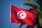 Tunisian flag