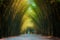 Tunnel bamboo trees and walkway in countryside of thailand
