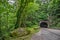 Tunnel on a Curve in the Smokies