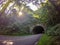 Tunnel leading to blue ridge parkway