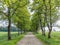 Tunnel-like Avenue of green Trees, Tree Footpath through Park in Spring