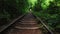 Tunnel of Love, Klevan Ukraine. Old Railway in Summer Nature, Tourist Attraction