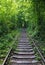 Tunnel of Love  railway  in forest near Klevan, Ukraine