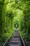 Tunnel of Love  railway  in forest near Klevan, Ukraine