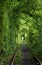 Tunnel of Love  railway  in forest near Klevan, Ukraine