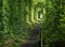 Tunnel of Love  railway  in forest near Klevan, Ukraine