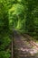 Tunnel of Love  railway  in forest near Klevan, Ukraine