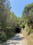 Tunnel in nature old rail track