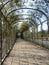 Tunnel of plants at Schnbrunn Palace garden. Vienna, Austria.