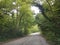 Tunnel of trees in Aristi village river Voidomatis greece in summer