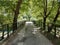 Tunnel of trees in Aristi village river Voidomatis greece in summer