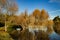 Tunnel of Trees at Lindo Lake