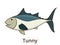 Tunny sea fish cartoon illustration for children