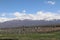 Tunuyan Mendoza vineyards with Andes mountains at background