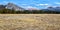 Tuolumne Meadows near sunset, Yosemite National Park