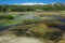 Tuolumne Meadows Spring, Yosemite