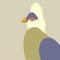 Turaco bird vector illustration flat style profile