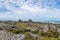 Turakirae Scientific Reserse Landscape, Wainuiomata, NZ