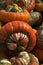 Turban squash