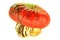 Turban Squash