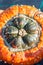 Turban squash