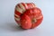 Turban squash on white background