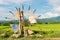 Turbine baler in rice farm
