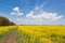 Turbogenerator on the field of blooming canola, blue sky with clouds