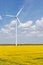 Turbogenerator on a field of flowering canola, against a blue sky with clouds