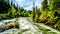 The turbulent water of the Murtle River downstream of the Mushbowl Falls in Wells Gray Provincial Park, BC, Canada