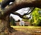 Turcianska Stiavnicka - Massive tree and Arboretum