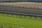 Turf and Dirt Horse Racing Track