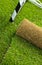 Turf grass roll on sport field - closeup