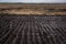 A turf plot with machine cut turf, drying in the sun.