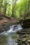 Turichka river near Lumshory village. TransCarpathia, Carpathians. Ukraine