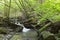 Turichka river near Lumshory village. TransCarpathia, Carpathians. Ukraine