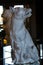 Turin Palazzo Madama porcelain statue of she-wolf who protect puppies