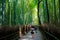 TuristS at the Arashiyama Bambo