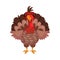 Turkey Bird as Thanksgiving Feast Symbol Vector Illustration