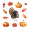 Turkey bird, pumpkins, leaves, berries set. Watercolor thanksgiving illustration. Festive autumn decoration. Turkey bird
