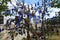 Turkey Cappadocia Mountains Tree