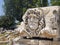 Turkey: Didim the famous head of Medusa