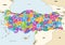 Turkey distrcts colored by provinces vector map with neighbouring countries and territories